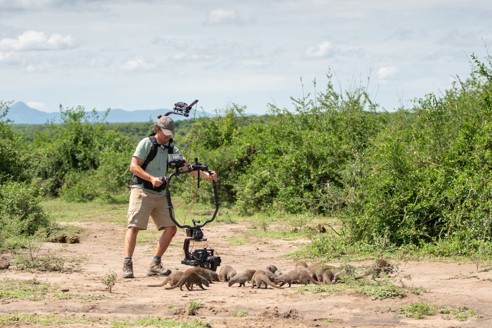 Kenyan Camera Operator Cameraman Ronin Handheld Mongoose