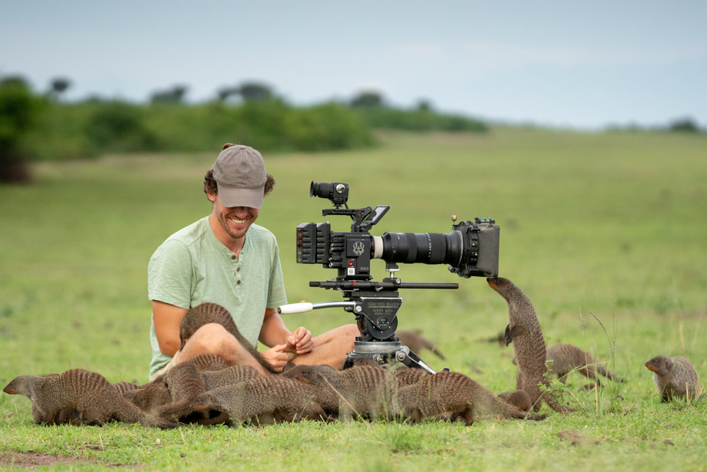 Kenya Natural History Cameraman Camera Operator Mongoose