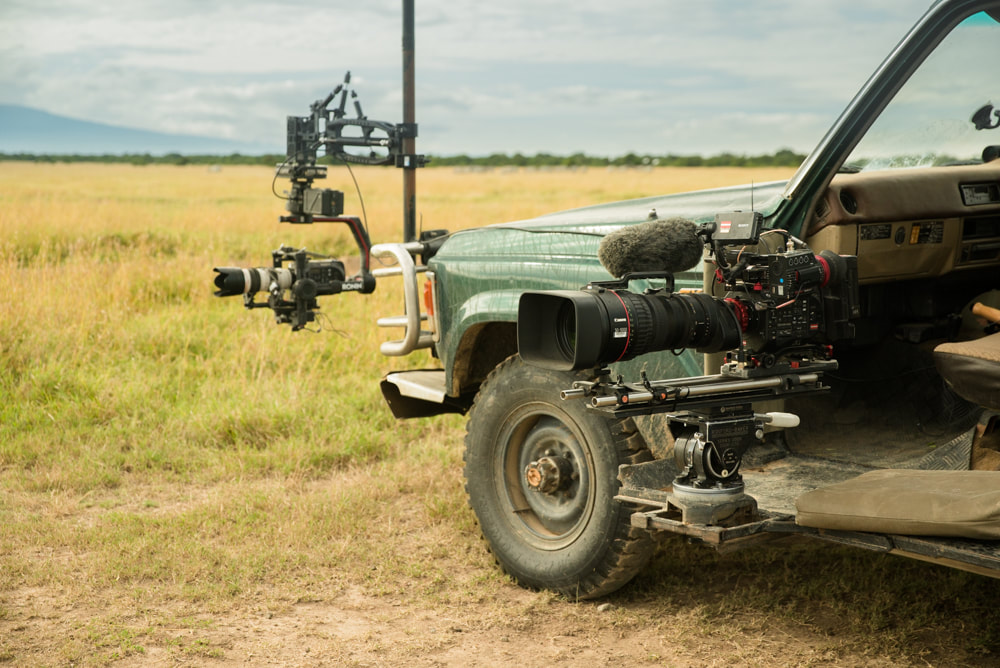 Kenya Wildlife Filming Land Cruiser Hire with Black Arm, DJI Ronin 2 and Canon CN20 filming door